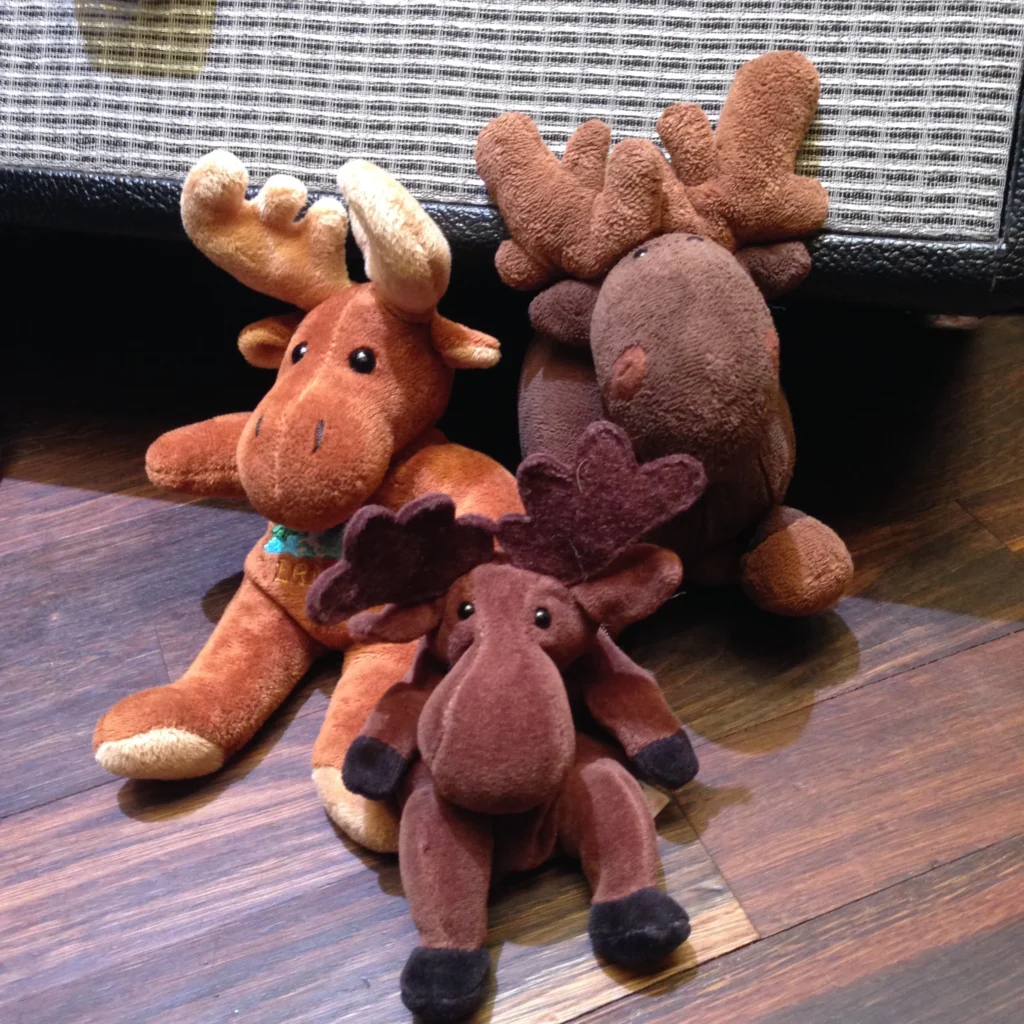 Bill's Moose family